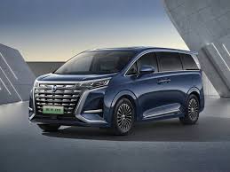 BYD DENZA D9